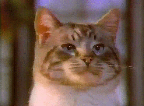 tumblr_eea2f75b2478b5f0b8c38d2438b74c94_e1b86bfb_500